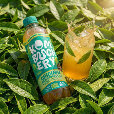 Original Raw Kombucha